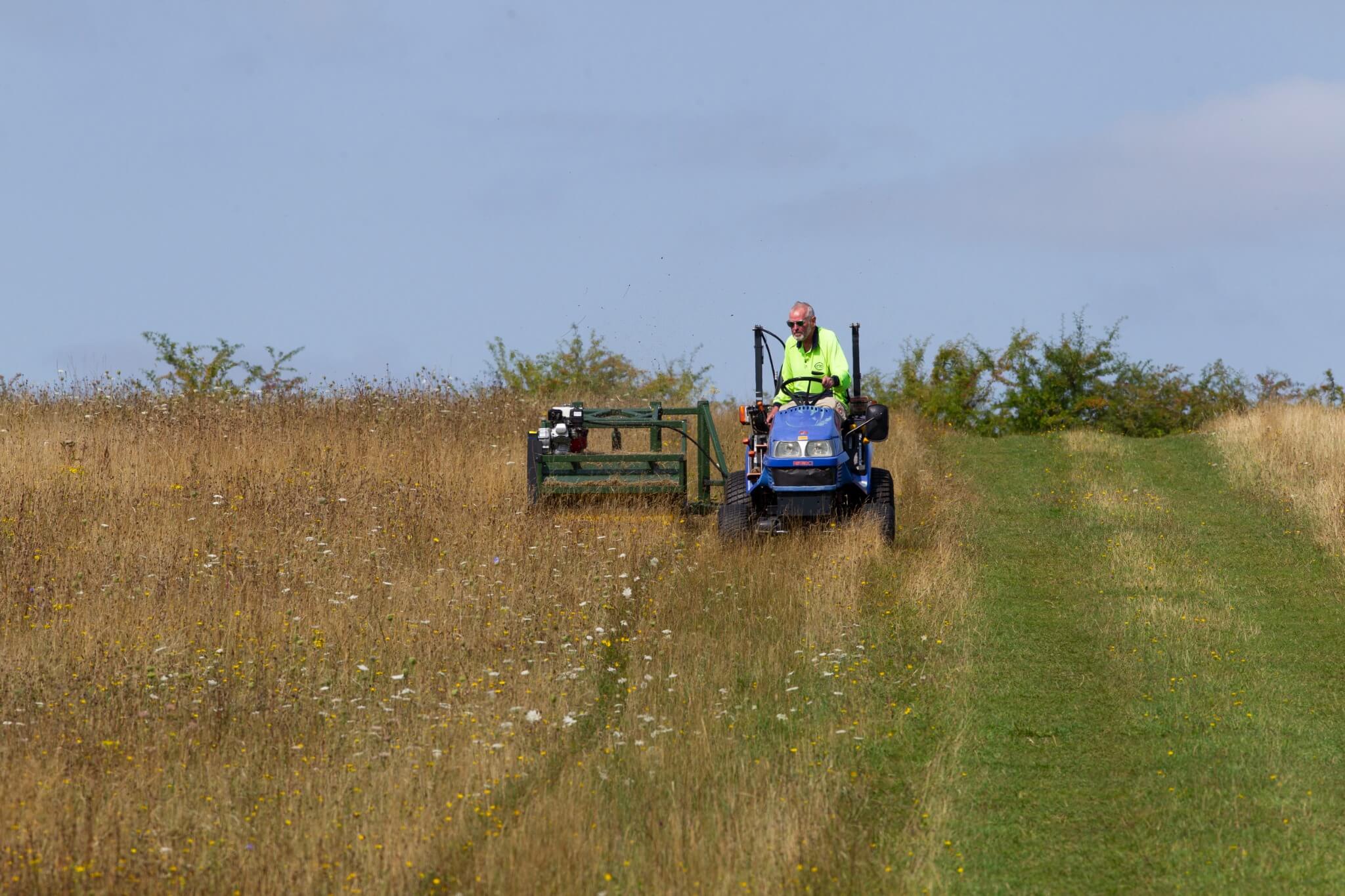 Brush harvester