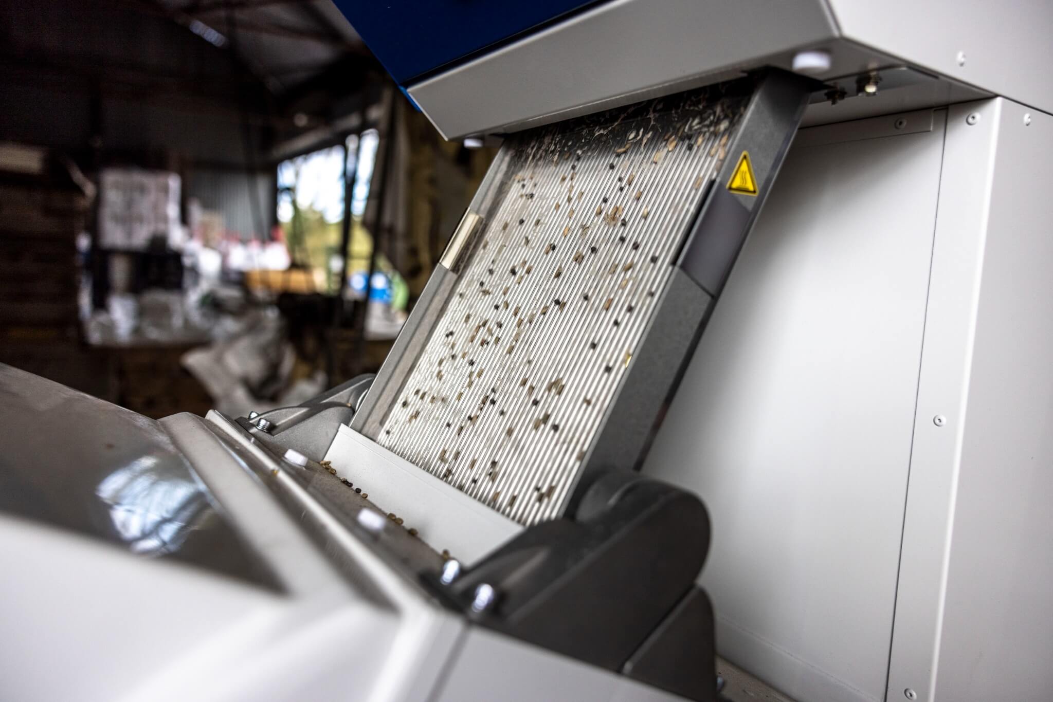 Precision seed sorting